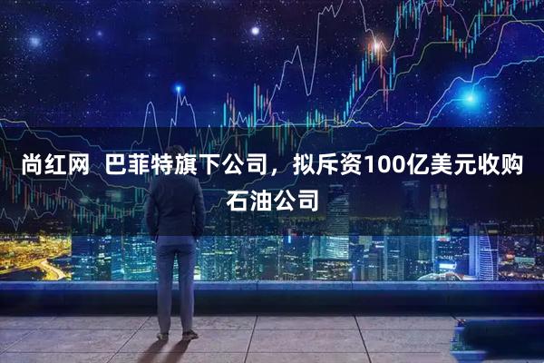 尚红网  巴菲特旗下公司，拟斥资100亿美元收购石油公司
