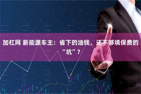 加杠网 新能源车主：省下的油钱，还不够填保费的“坑”？